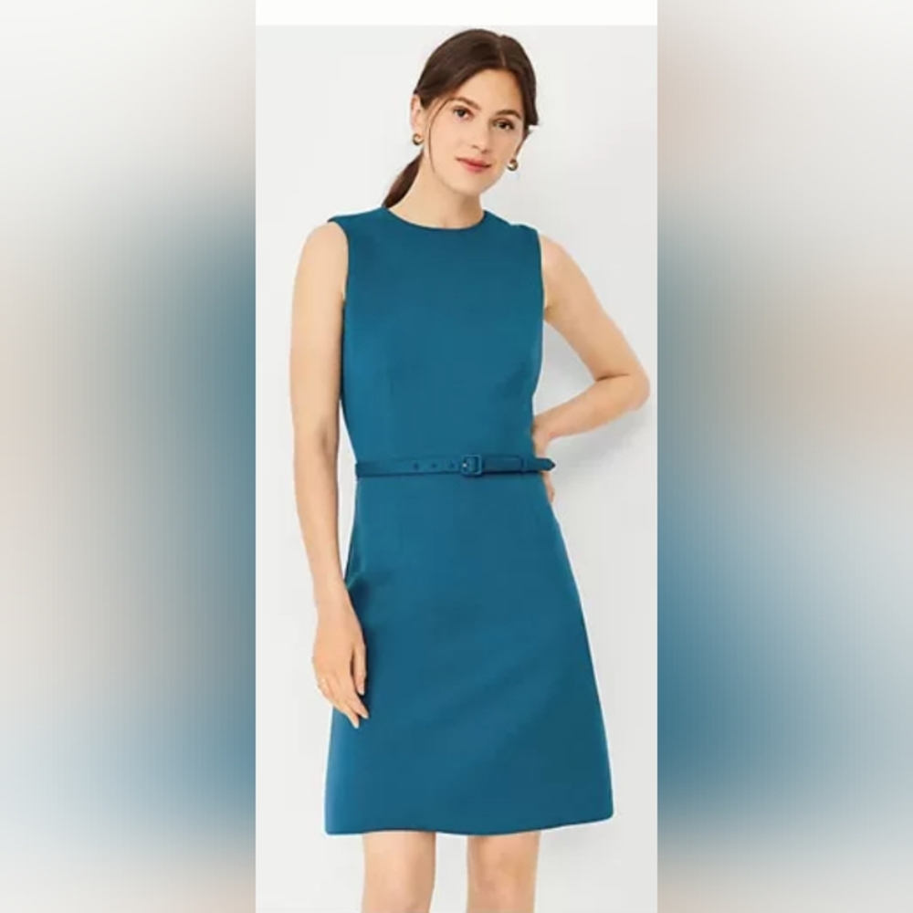 NWT Ann Taylor Sleeveless A-Line Belted Dress, Color Is Dragon-fly Size 12
